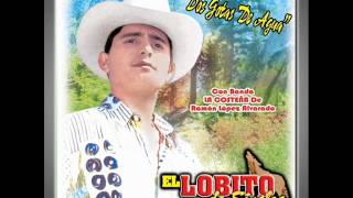 El Lobito De Sinaloa  Te Enseñe A Besar [upl. by Onateyac]