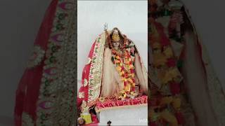 Meri sheron wali maa teri har baat achhi hai navratrispecial maiyabhajan bhaktisong maiyarani [upl. by Daria]