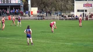 Wimmera FNL RD17 2024 Horsham Demons vs Warrack Eagles [upl. by Lareena]