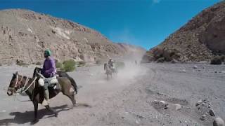 THE ATACAMA HORSEBACK EXPEDITION  CHILE [upl. by Ssegrub]