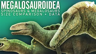 SPINOSAURS and other MEGALOSAUROIDS  Dinosaurs size comparison and data [upl. by Leibman]