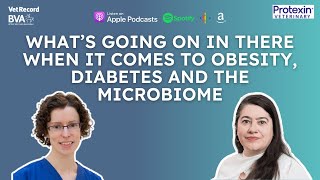 What’s Going On In There When It Comes To Obesity Diabetes And The Microbiome  Ruth Gostelow [upl. by Asillem]