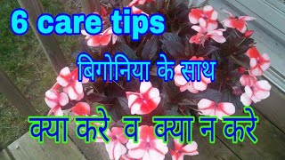 1816 Care tips for begonia Do amp Dont बिगोनिया HindiUrdu [upl. by Eustis]