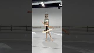 🩰✨ part 3 ballerinas ballet balletdancer dancer ballerina dance viral fyp [upl. by Emmott]