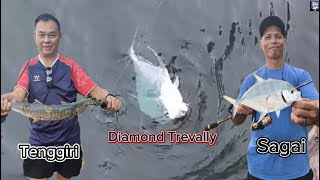 Caught Diamond Trevally Tenggiri Batang amp Sagai at MCC  Jigging Carolina Rig  Singapore Fishing [upl. by Ihtak]