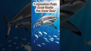 3 Mysterious Facts About Sharks You Never Knewshorts animals facts animalworld [upl. by Enyahs]