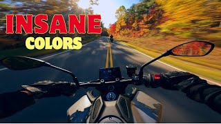 FOOTHILLS PARKWAY INSANE FALL COLORS RAW MOUNTAIN RIDE ON 2024 YAMAHA MT09sp [upl. by Aryk]