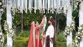 Wedding Day💕 Bhai ki Shadi  CP50 [upl. by Eojyllib]