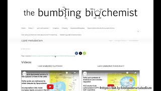Blog update Lipid metabolism page [upl. by Fendig]