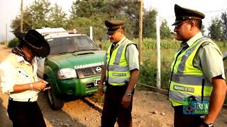 Los Llaneros De La Frontera  A Nuestra Policía Video Oficial [upl. by Madelin215]