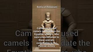 Battle of Pelusium in 525 BCE ancientworld historyfacts persian egyptian pharoahs [upl. by Packston]