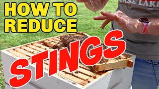 Beekeeping How To Reduce Your Chances Of Being Stung [upl. by Supmart214]