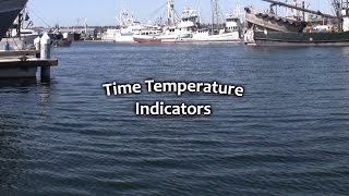 TimeTemperature Indicators [upl. by Ecart8]