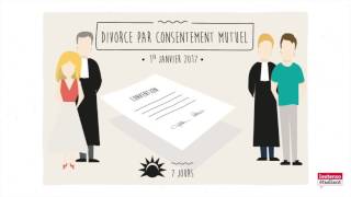 Cas pratique illustré Le droit animé  Le divorce ép 2 [upl. by Wilburn]