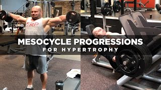 Mesocycle Progressions for Hypertrophy  Dr Mike Israetel [upl. by Warms]