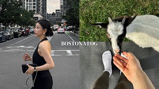 Goat yoga  wedding dress shopping for my friend  Free events in Boston [upl. by Lledal]