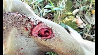 Deer kill at 7 yards  GRAPHIC  Rage Hypodermic [upl. by Rowney688]