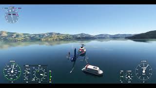 Flight Simulator  Akaroa Dolphins Cruise [upl. by Haile]