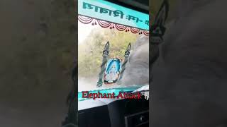 Elephant Attack near Jim Corbett Uttarakhand [upl. by Adnolay]