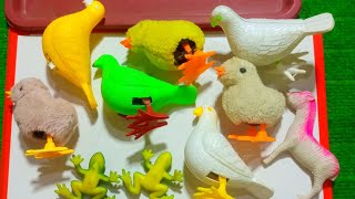 wild Animal toys videos Kambing amp Kerbau Buaya  Proses Melahirkan Cesar Truk Sapi [upl. by Thea839]