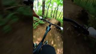 FLOW in the WOODS mtb enduro insta360 canyon [upl. by Azyl]