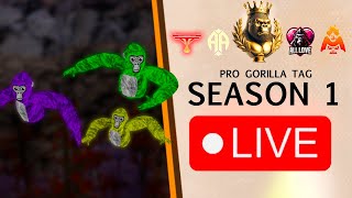 TT vs PP  Pro Gorilla Tag Scrim [upl. by Rodina615]