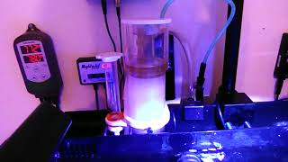 Made a recirculating CO2 scrubber for Ice Cap Nano skimmer [upl. by Adalbert398]