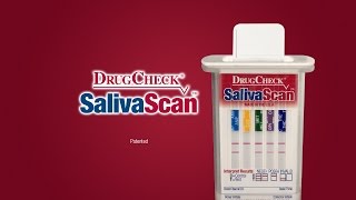 How to use the DSO8 Plus Saliva Drug Test Kit [upl. by Eycats]