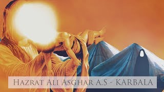 Spiritual Journey  EP9  Hazrat Ali Asghar AS  Karbala  Maulana Ali Raza Rizvi 2018 [upl. by Spiegel958]