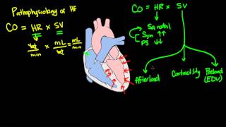 Khan Video 2 Heart Failure Pathophysiology [upl. by Nierman73]