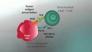 Immunotherapy for NSCLC  Video abstract 57550 [upl. by Tore911]