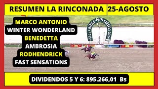 RESUMEN COMPLETO 👉 LA RINCONADA INH hoy Domingo GALA HIPICA DE CARACAS 25 de AGOSTO 2024 [upl. by Siana]