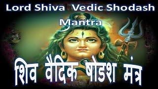 Lord Shiva Vedic Shodash Mantra  ND Shrimali [upl. by Bohman639]