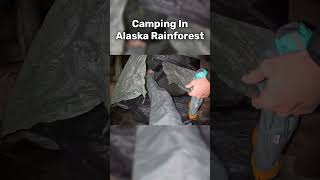 Cooking Hot Dogs While Camping In Deep Alaska Rainforest [upl. by Farman]