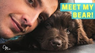 MEET MY BEAR PUPPY  Health Benefits of Having a Dog  Doctor Mike [upl. by Waters]