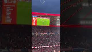 Atmosphere at Allianz Arena after Pavlović’s equalizing banger  FC Bayern vs Bayer Leverkusen 11 [upl. by Aratihc566]