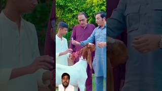 Bulbulay Season 2  Eid Special Video  viralvideo [upl. by Sim]