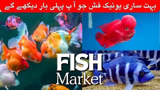 Fish aquarium Karachi  model aquarium fish aquarium market Karachi Pakistan update price 🐟🐢🐠 [upl. by Shanda868]