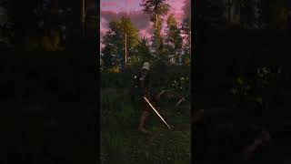 Witcher 3 Geralts clean with it witcher witcher3 shorts gaming gameplay games [upl. by Ahseele]