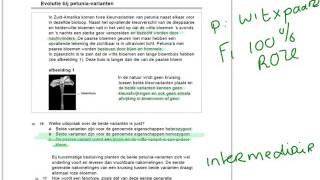 Uitleg examen bio havo 20151 opgave 16 tm 20 [upl. by Judon]