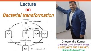 Basic features of Bacterial transformation by Dheerendra Kumar [upl. by Pitchford]