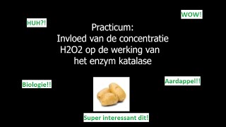 Wat gebeurt er met een aardappel in waterstofperoxide De werking van katalase in beeld [upl. by Haela]