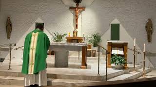 Spanish Mass at St John the Evangelist Catholic Church Pensacola FL 1117274 [upl. by Ednargel]