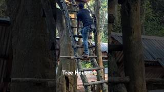 Tree house in forest camping survival lifehacks shorts [upl. by Fortier]