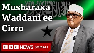 Qorshayaasha iyo Aragtiyaha Siyaasadeed ee Musharraxa Madaxweyne ee Waddani  Cabdiraxman Cirro [upl. by Anal544]