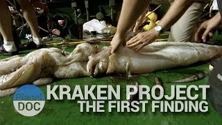 Kraken Project The first finding  Nature  Planet Doc Full Documentaries [upl. by Aurie]