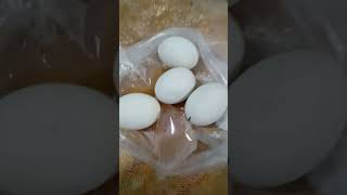 LetS PENOY balut [upl. by Guildroy938]