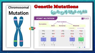 الطفرات الوراثية بالعربي الكروموسومية والنقطية  Genetic mutations Chromosomal  Point mutation [upl. by Denie385]