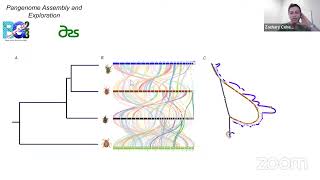 Thu 21 Sep 2000 UTC  Pangenomic Assembly and Assessment using Minigraph and Bandage [upl. by Perren]