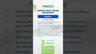 Lawan sakit Maag menahun dengan Gastrimag [upl. by Ekeiram]